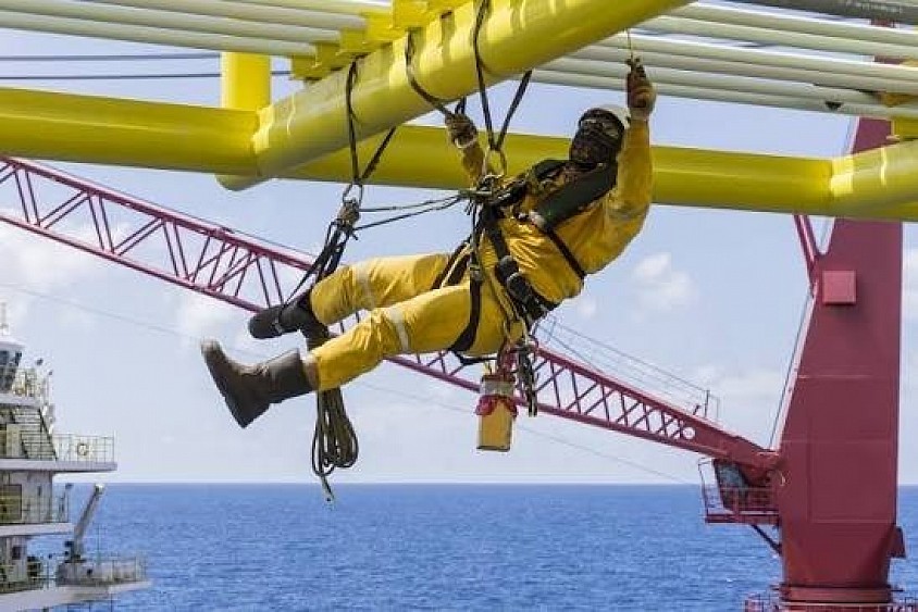 GWO Training